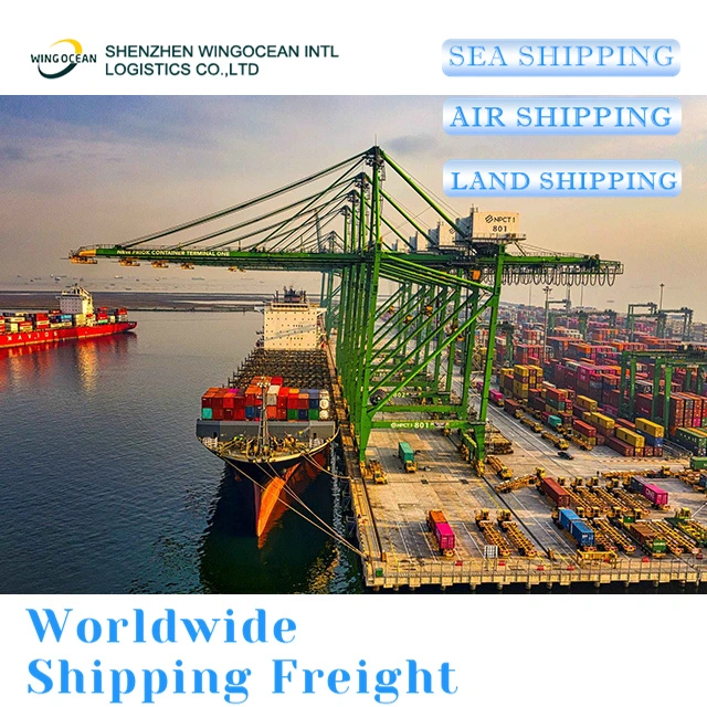 Excellent China Freight Forwarder Shipping Agent for USA/ Canada/ Europe Sea Shipment