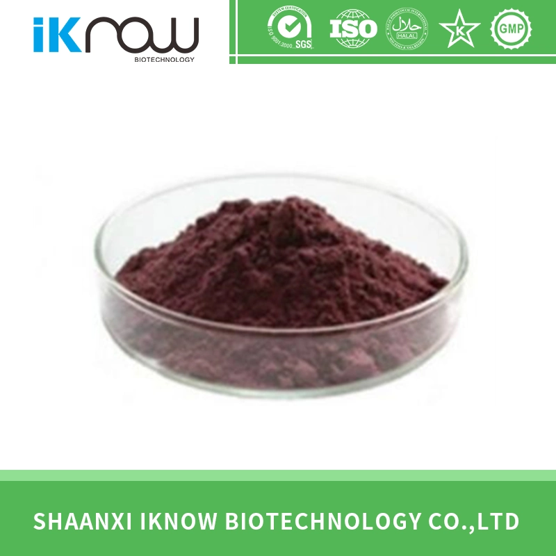 Health Food Grape Seed Extract CAS No: 84929-27-1 with High Quality