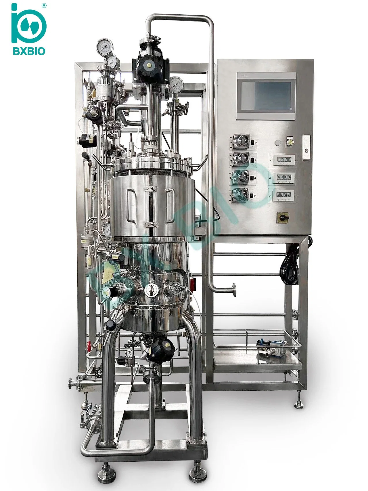 Bxbio 10-10000L Plant Cell Bioreactor with Illumination Function