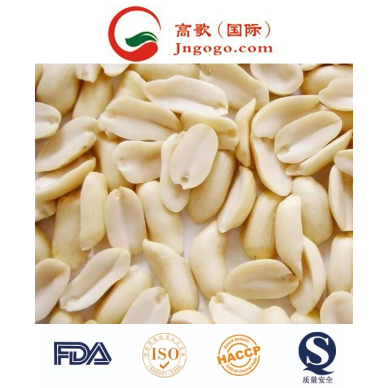 أعلى جودة/New Crop Shandong Peanut Kernel Peanut في شل