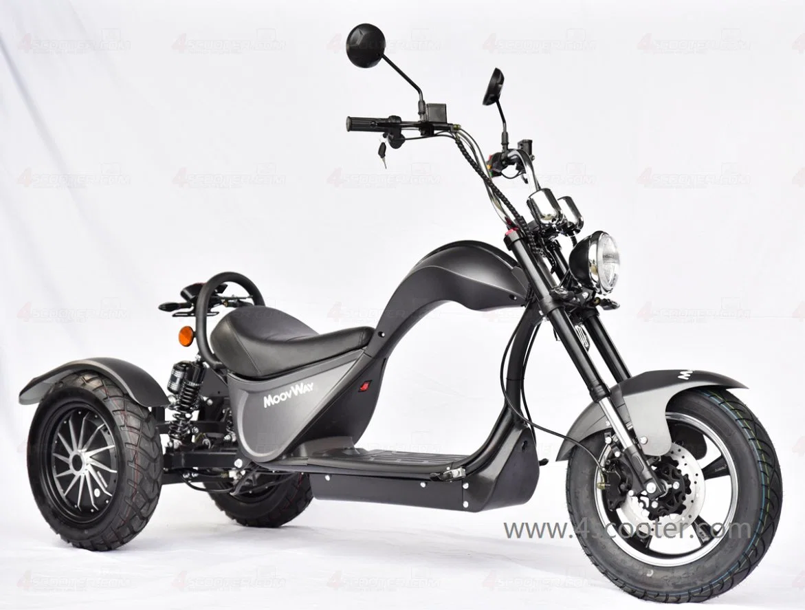 Rendimiento de alta calidad/alto costo Adulto EEC Tricycles 3 rueda doble Motor Motor Scooter Patineta Eléctrica