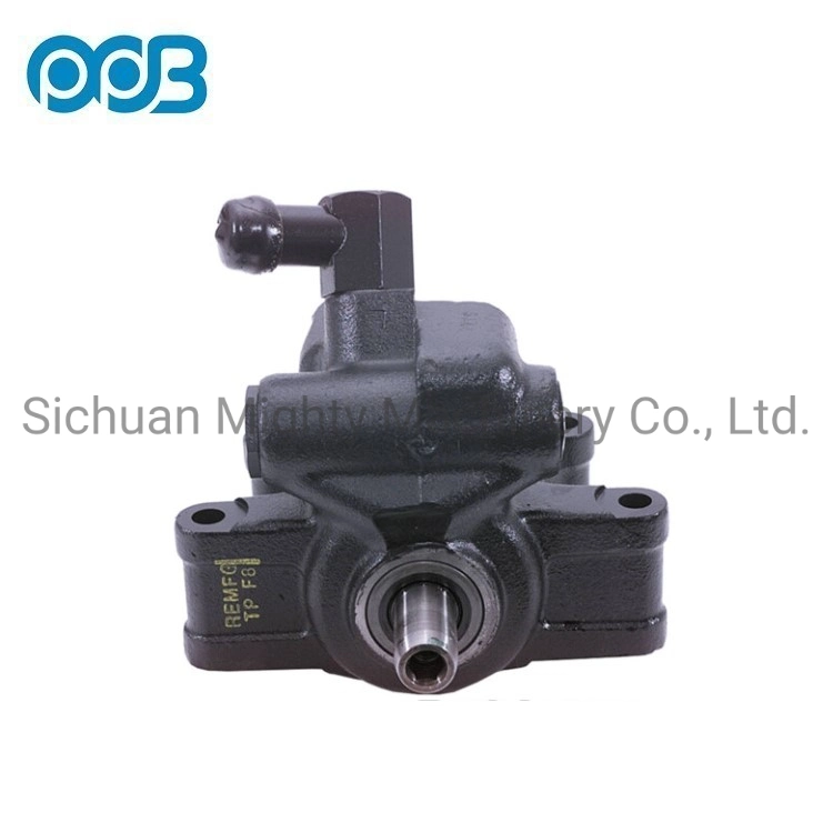 Hydraulic Power Steering Pump for Ford OEM 2L3z3a674aarm 2L3z3a674carm F65z3a674AA /F5RC3a674CB 3915088