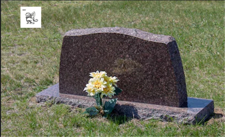 Granite Marble Tombstone/Headstone/Gravestone/Monument/Laistone Wholesale/Suppliers