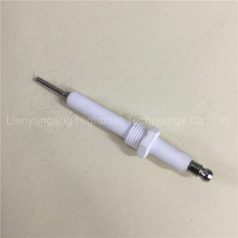 Fast Delivery Glazed 95% Alumina Al2O3 Ceramic Igniter Pin for Combustion Machine