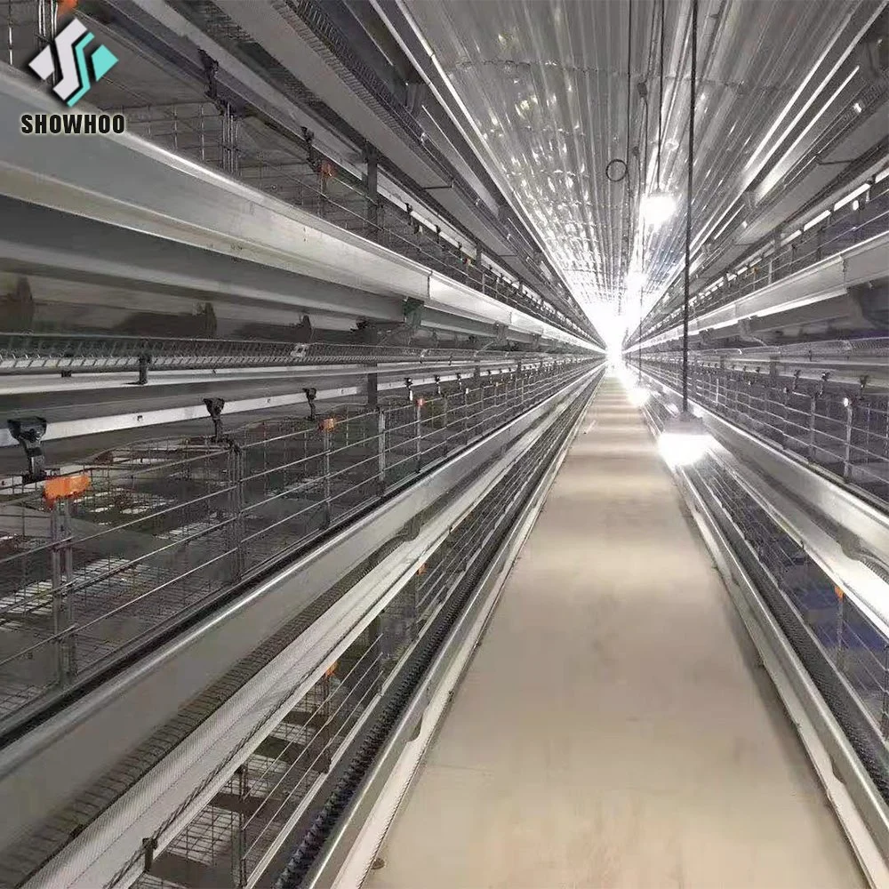Nouvelle ferme avicole préfabriquée pour la production d'œufs.