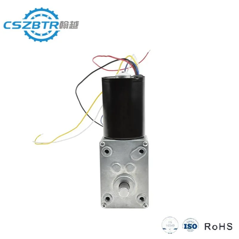 12V Brushless Motor Electric Self-Lock Micro Worm Gear DC Motor with Brake