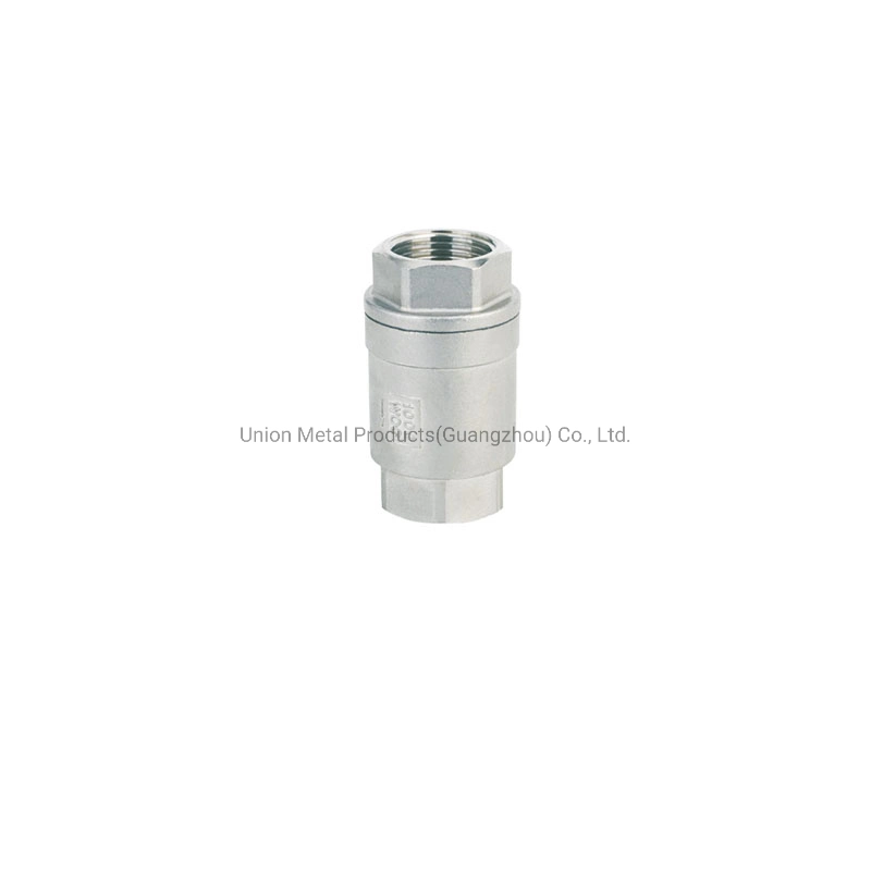 Stainess Steel Pipe Fitting SS304 SS316 Lift Check Valve