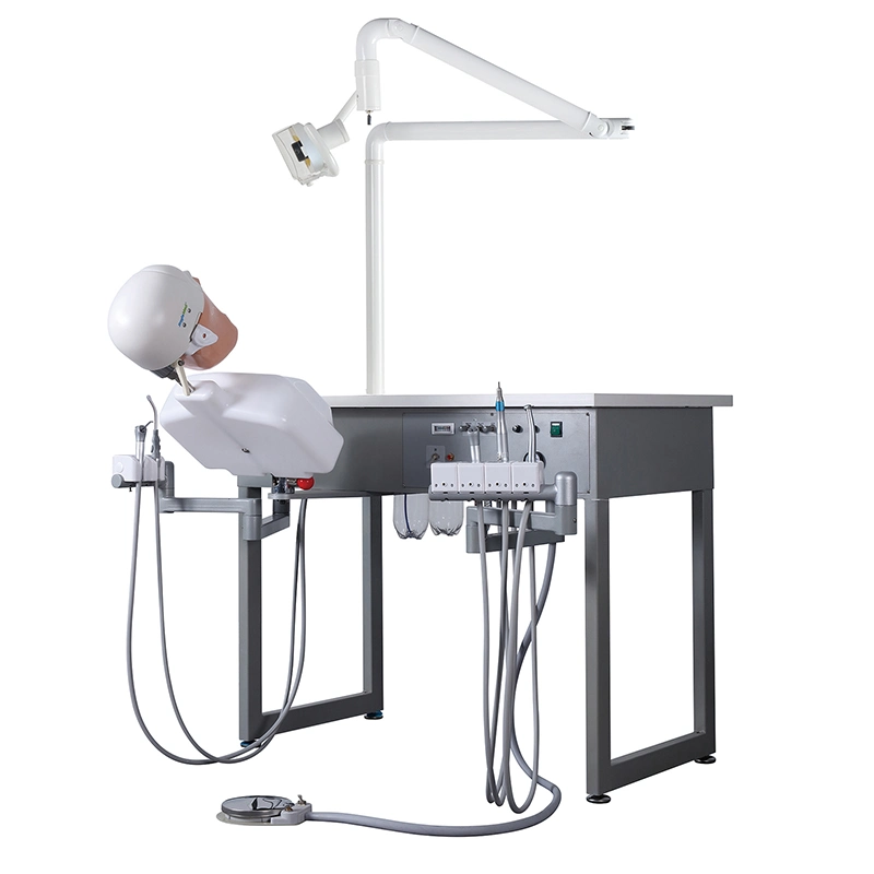 Dental Training System Unit Medical School Use Dental Phantom Head Simulator