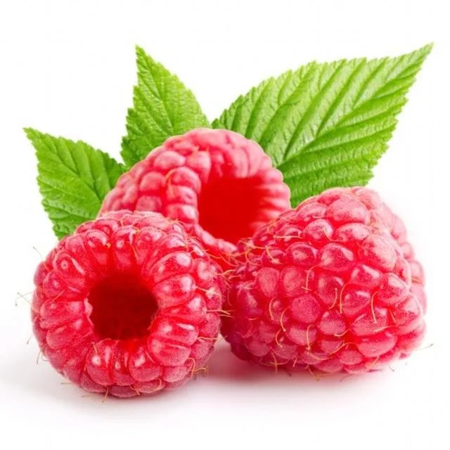 CAS 5471-51-2 Extract Powder Raspberry Ketone