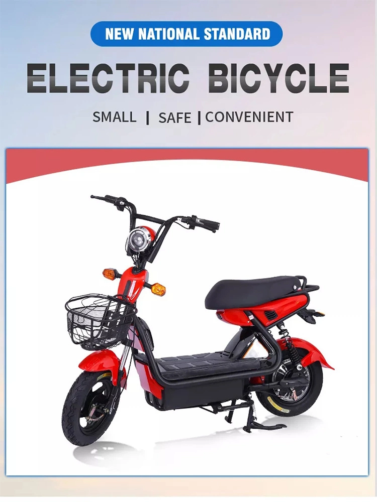 China Electric Bicycle 350W Electr Bike 48V Elektro-Scooter und Fahrradverkauf