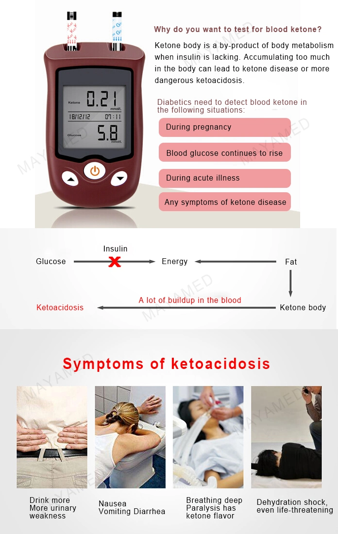 OEM Portable Digital LCD Display Test Paper Required Non-Invasive Blood Glucose Meter