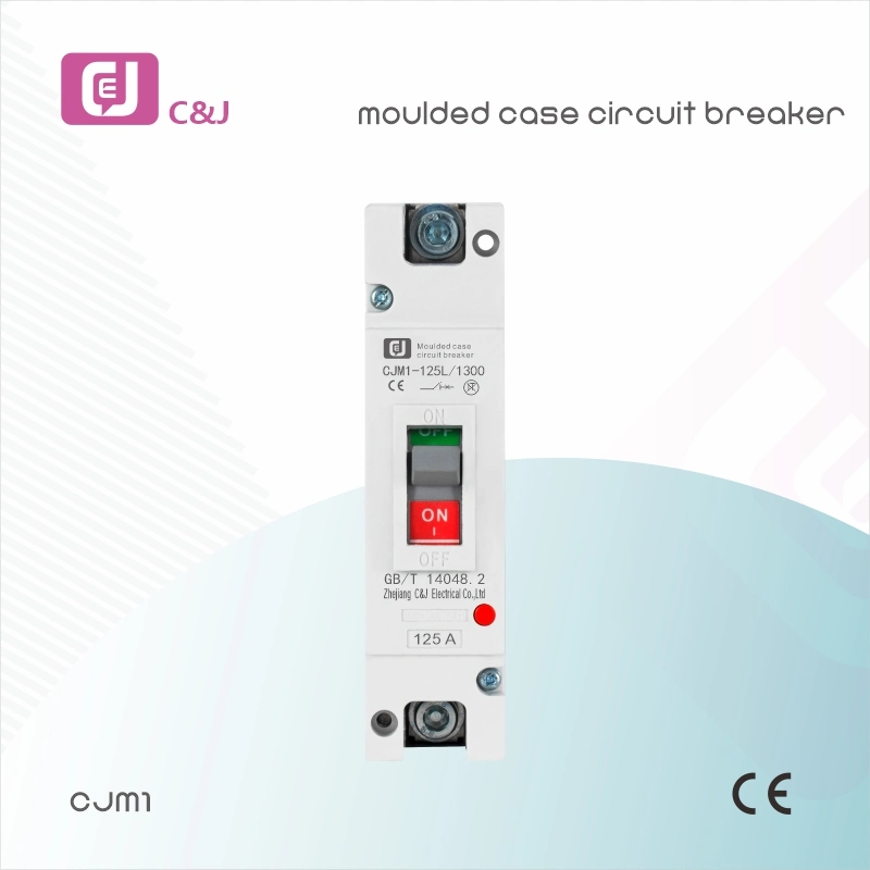 1 Pole 125A Circuit Breaker for Overload Circuit Protection High Breaking Capacity MCCB