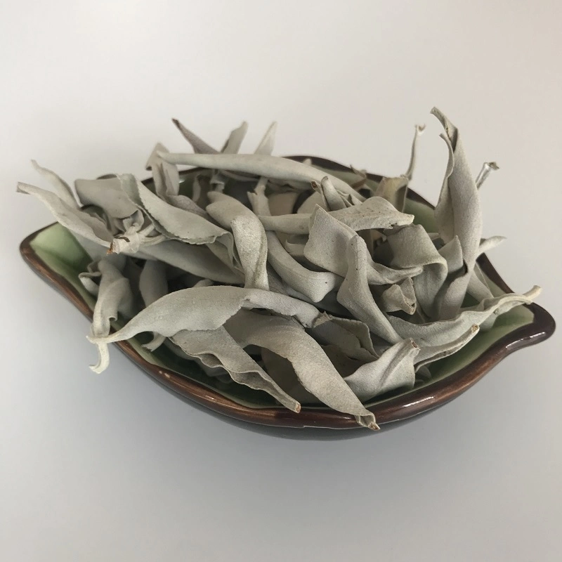 Shu Wei Cao Bulk Natural Products 100g Per Bag Dried White Sage Leaves for Incense