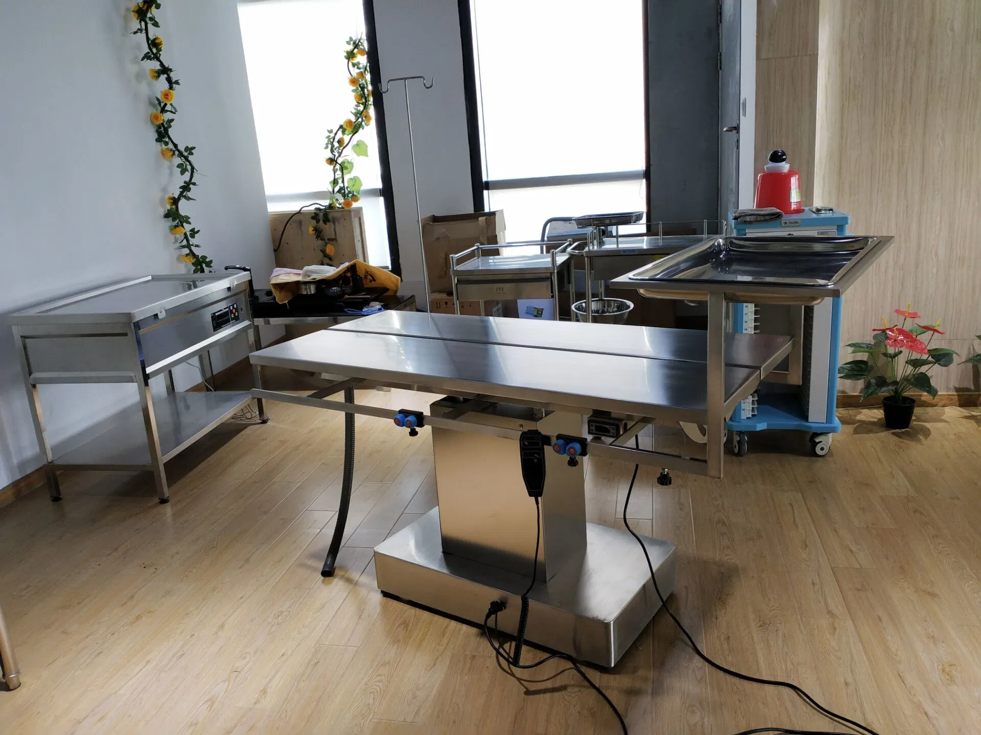 "V" Type Animal Ot Anatomy Dissecting Table with 304 Stainless Steel Material for Pet Clinic