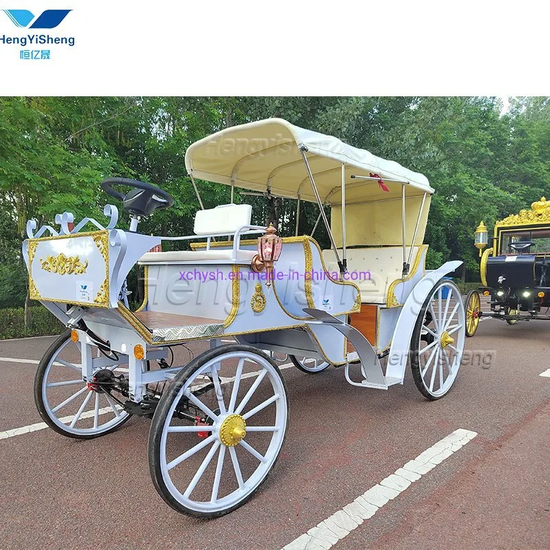 Special Transportation for Sightseeing Horse Carriage for Sale