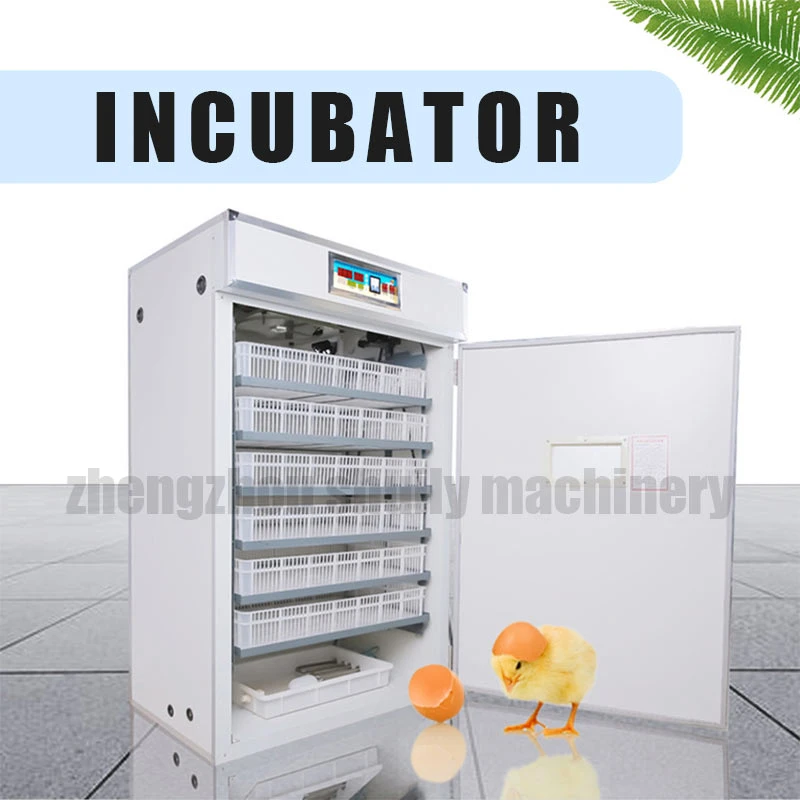 Mini incubadora incubadora para huevos de incubadoras de huevos con bandejas