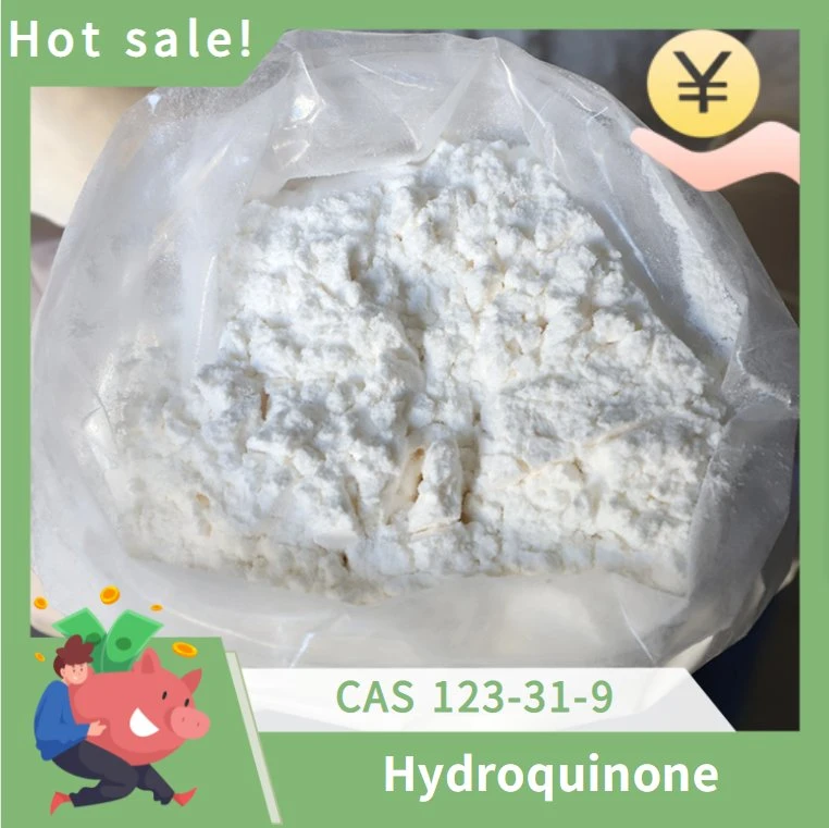 China Supplier Hydroquinone CAS 123-31-9 with Good Price