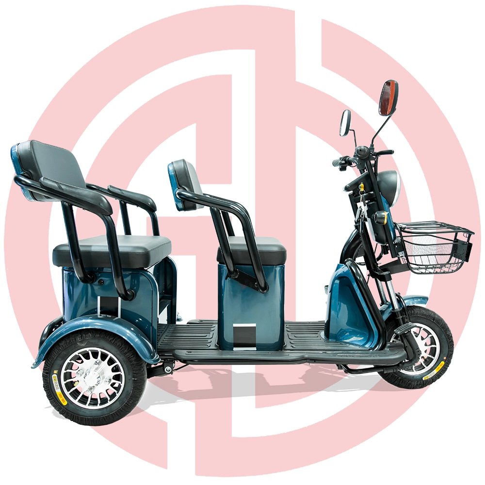 Triciclo eléctrico Scooter eléctrico motor de 600 W 48V 20Ah batería