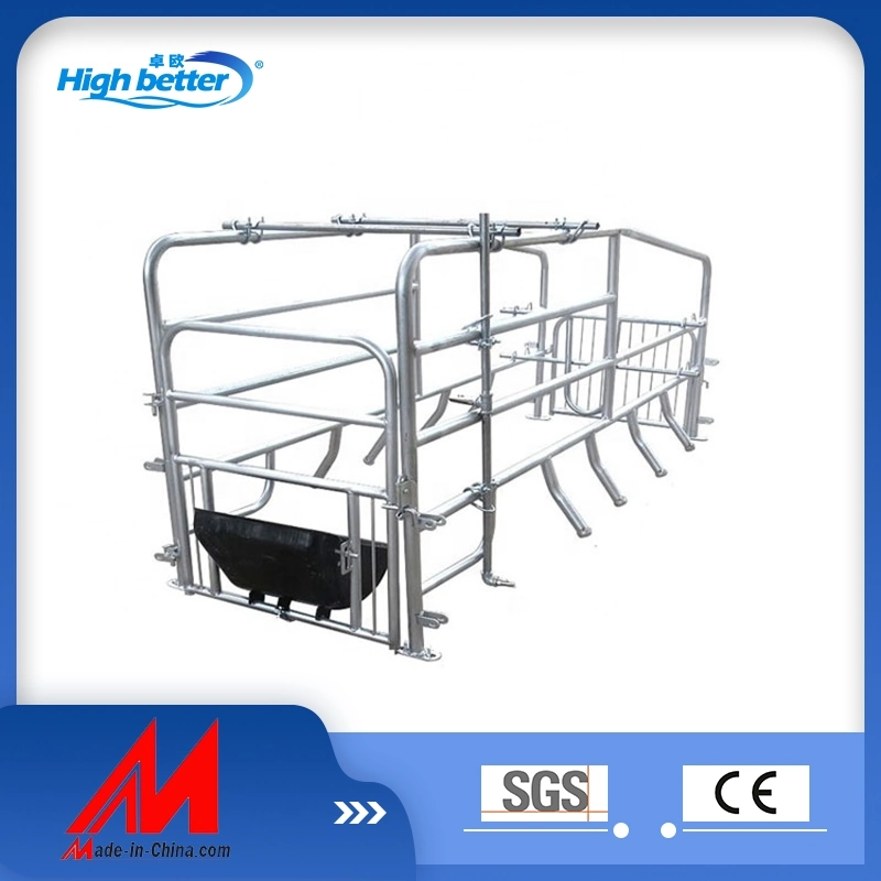 Grossista preço Piso - Cama de farrowing permanente para porcas (sem pintura nas soldaduras) Tubo galvanizado grosso Hot-DIP Pig Bed Single SOW