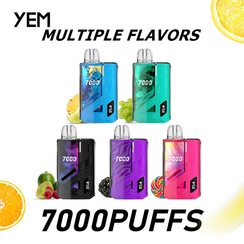 Großhandel/Lieferant Günstige Vape Tornado 7000 Big Puff Custom Vaporizer Pen LED Light E Zigarette wiederaufladbare Saft Gesundheit Wape Drop Versand Einweg-Pod-Verdampfer