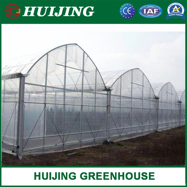 Cost Effective Multi Span Agriculture Plastic Film Greenhouse for Sale