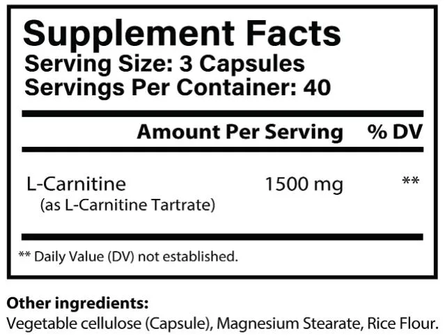 La construcción de músculo OEM &amp; Fat Burner Vegan acetil-L Carnitina cápsulas