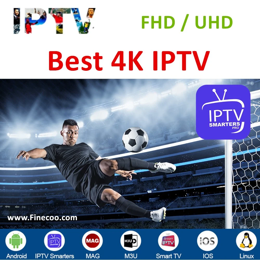 Real 4K IPTV Panel Reseller M3u Code for Android Ios Linux TV Box