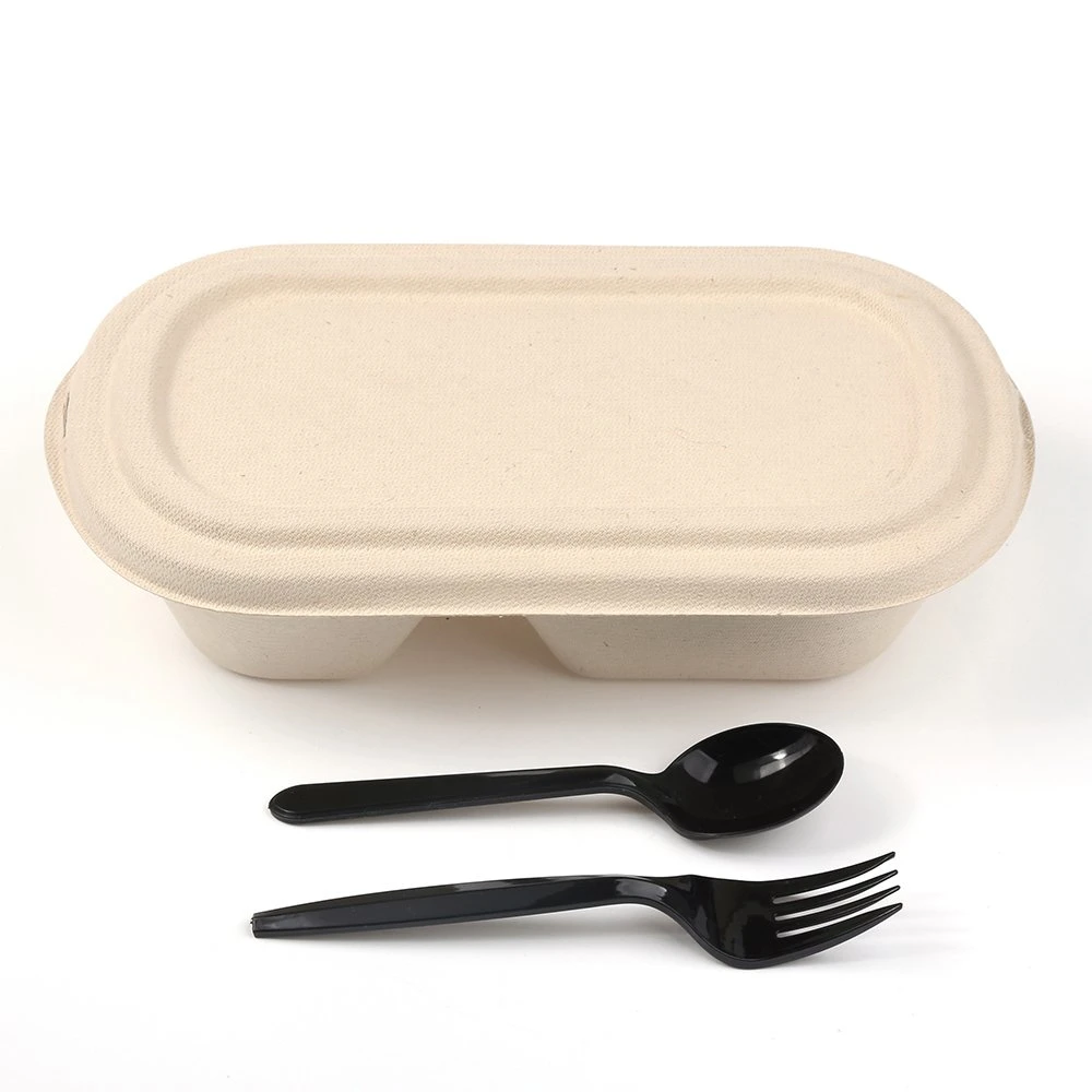 Safe Microwave Environmentally Friendly Biodegradable Disposable Sugarcane Pulp Bagasse Food Packaging Takeaway Food Container Lunch Box