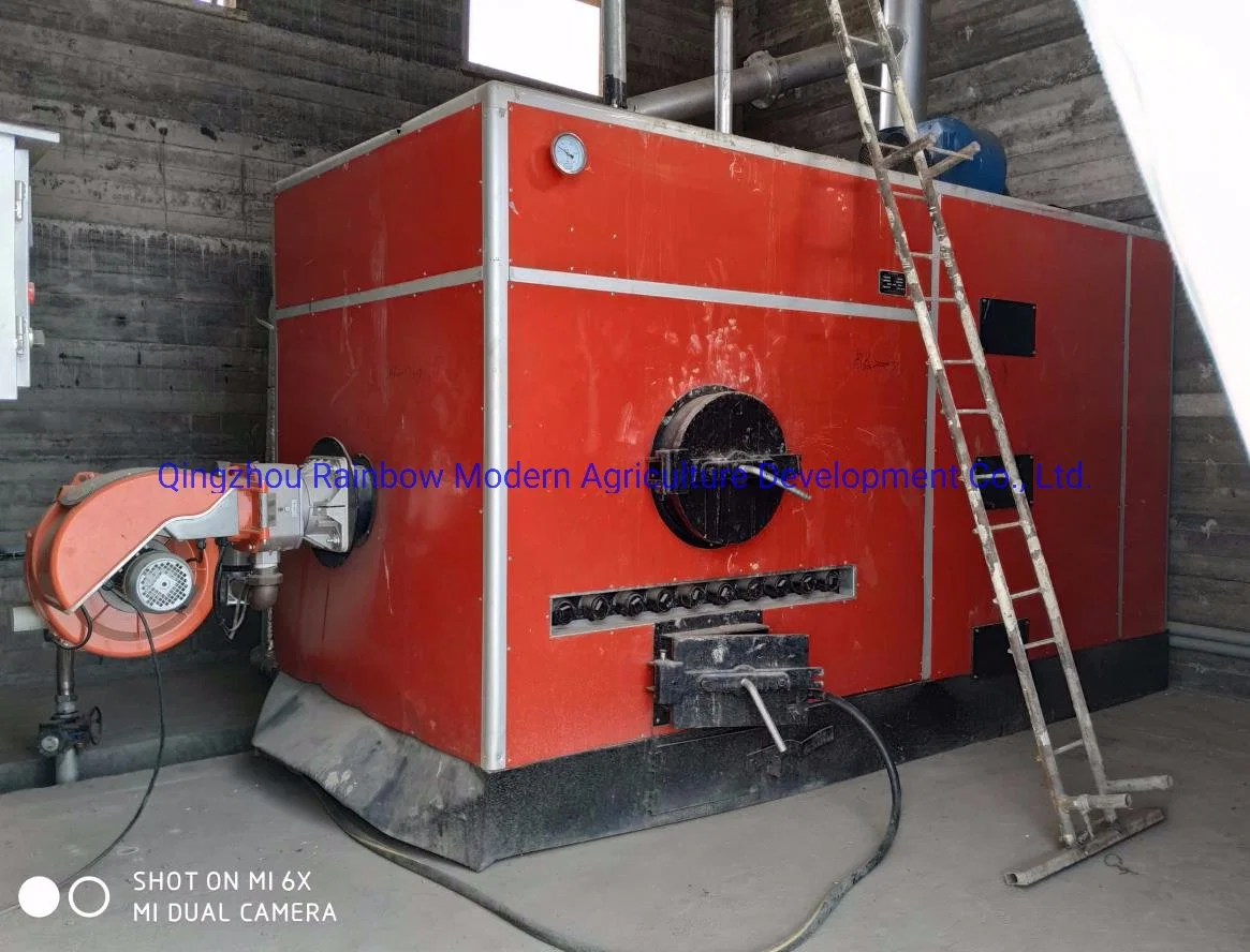 1ton 2ton 3ton 4ton 5ton Gas Boiler for Greenhouse