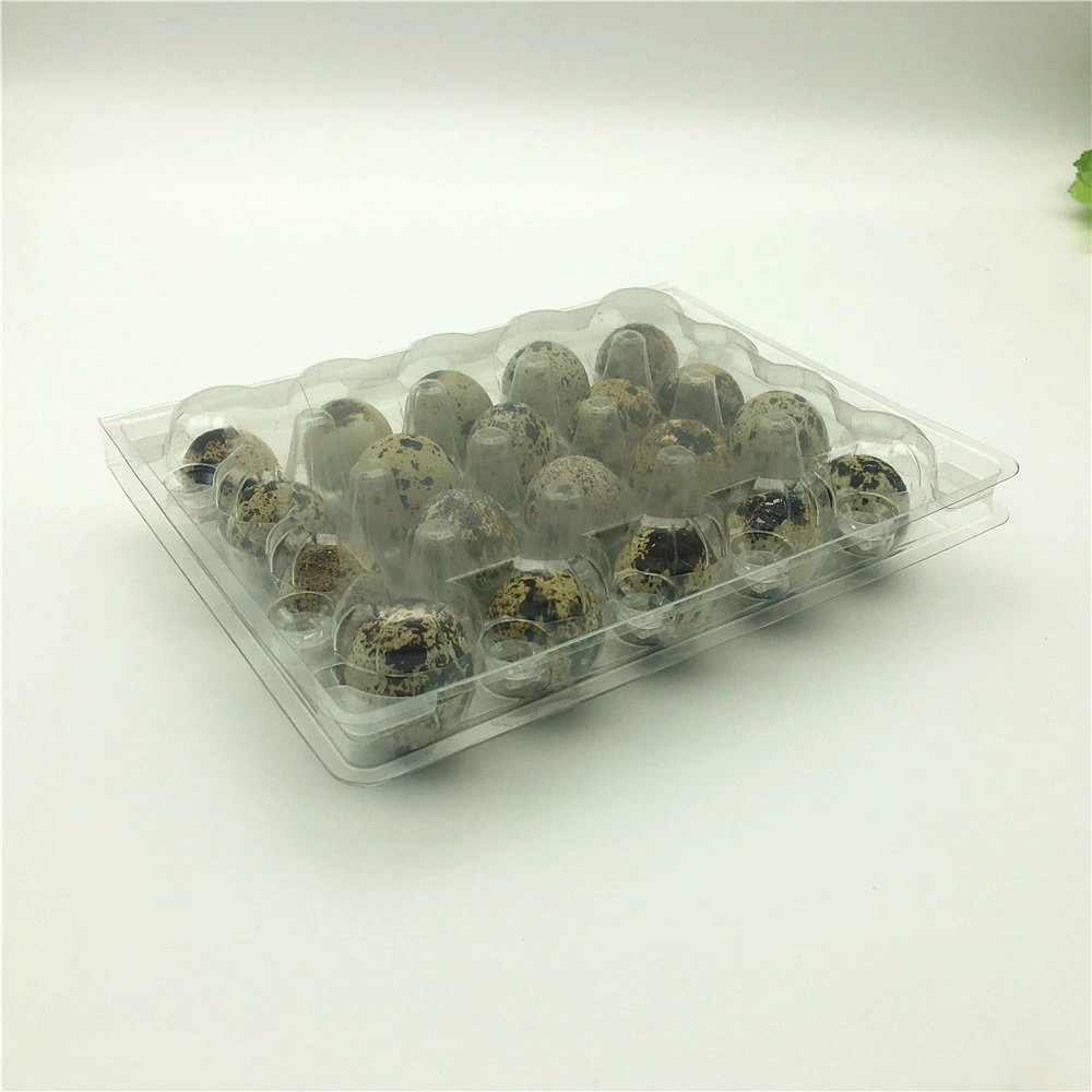 Disposable Plastic Quail Egg Tray Box