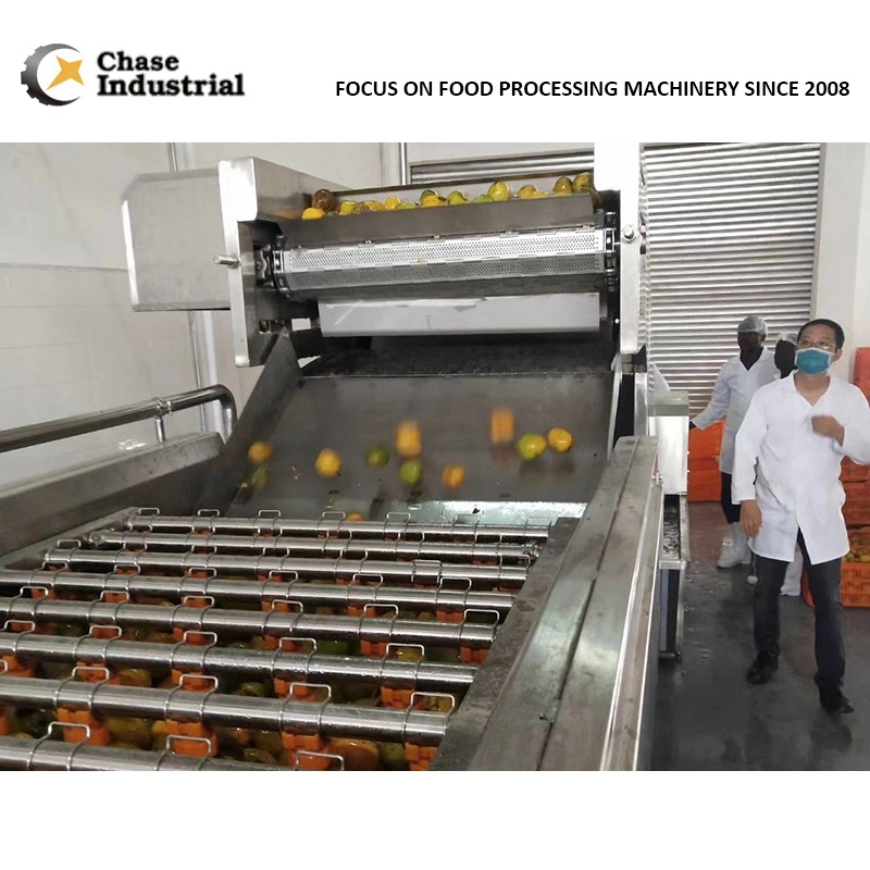 220L Paquete aséptica de la salsa de chili Mango / mermelada de piña pegar haciendo de la línea de procesamiento