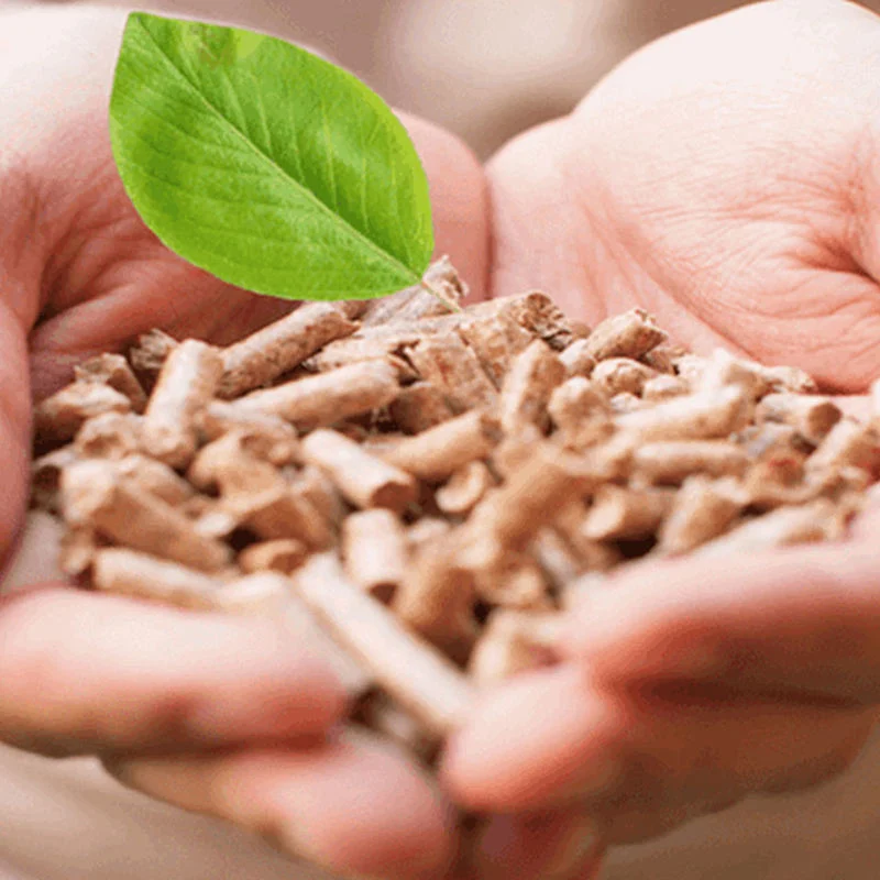 Melhores Pellets de Madeira de Qualidade Di Legno Pine Biomassa para Aquecimento, Pellets de Madeira En Plus Enplus A1 Europa.