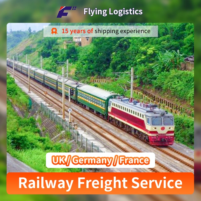 China Best Sea Railway Truck Shipping Freight Forwarder to UK/Germany/France Door to Door DDP