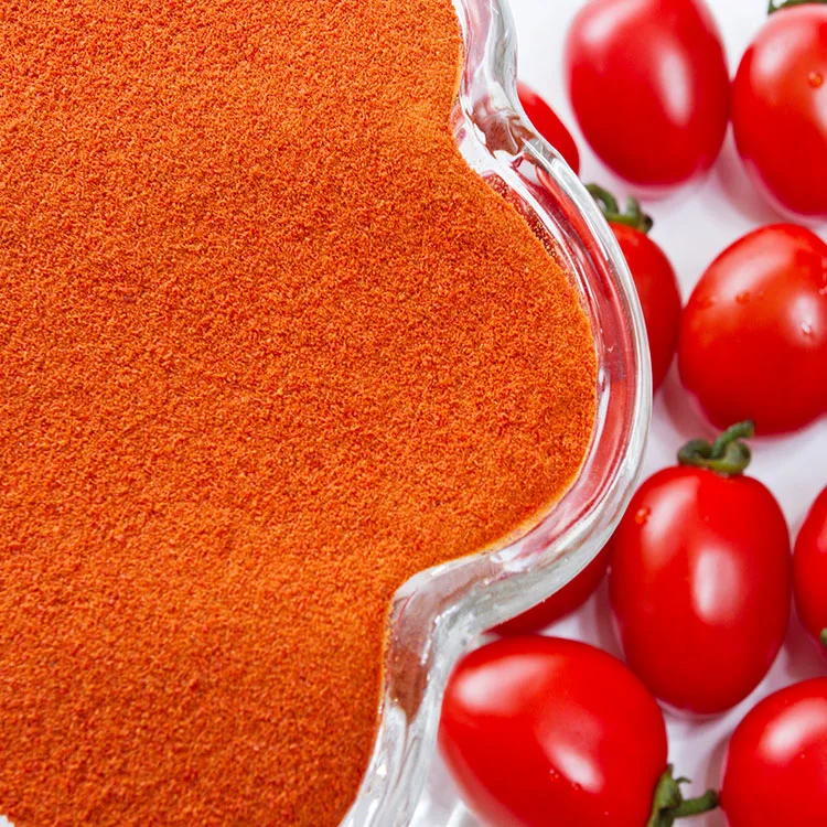 Fabricant de gros de la poudre de légumes biologiques de la poudre de tomate avec le meilleur prix