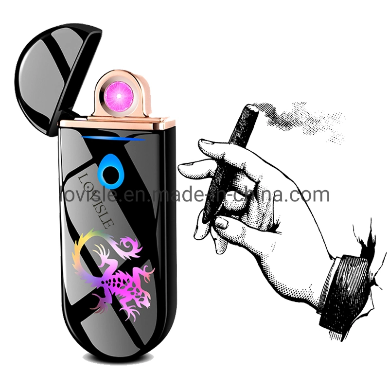 New Cool USB Rechargeable Electric Lighter Touch Windproof Flameless