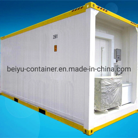 Special Reefer Container for Cold Storage Use with Single or Multi- Phase