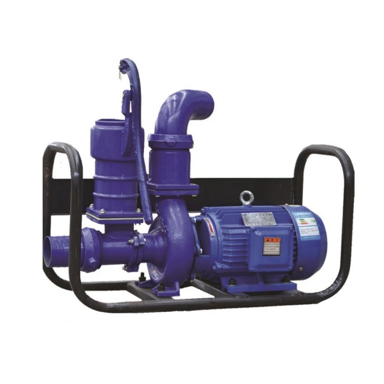 Farm Irrigation Centrifugal Electric Water Pump