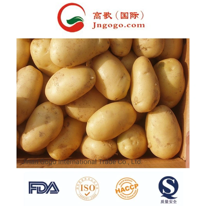 Gogo Holland Potato (50 - 100grams)