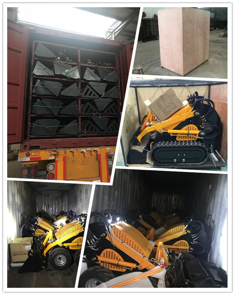 Mini Skid Steer Laoder, Skid Steer Loader, Mini Loader, Various Attachments, Ce Certification, Wheel Loader, Loader