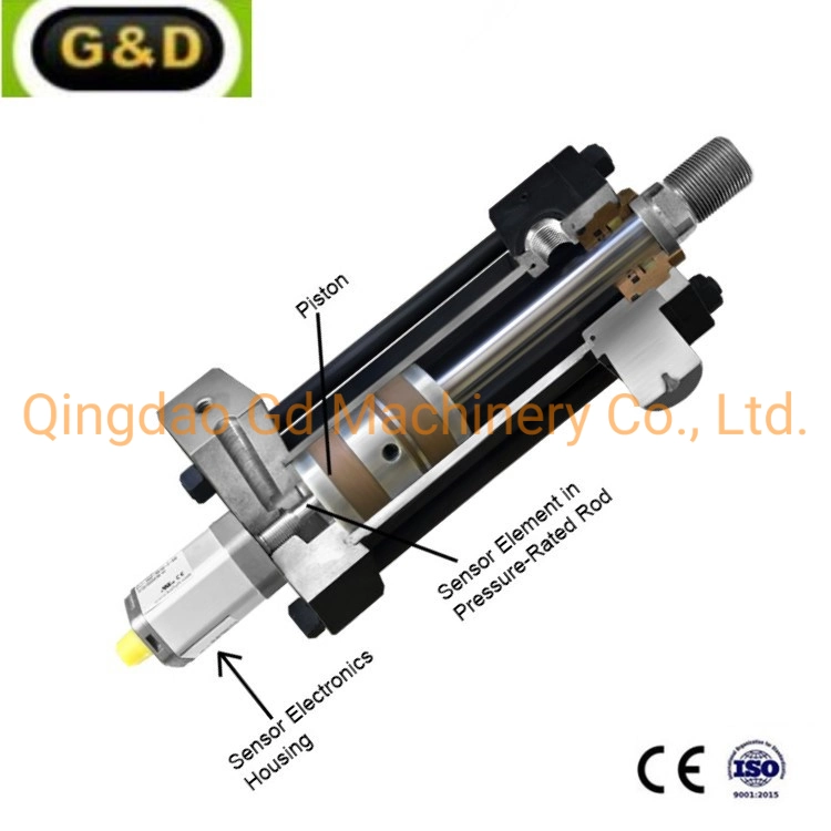 Location Sensor Mounted Hydraulic Piston RAM for Industry Equipments