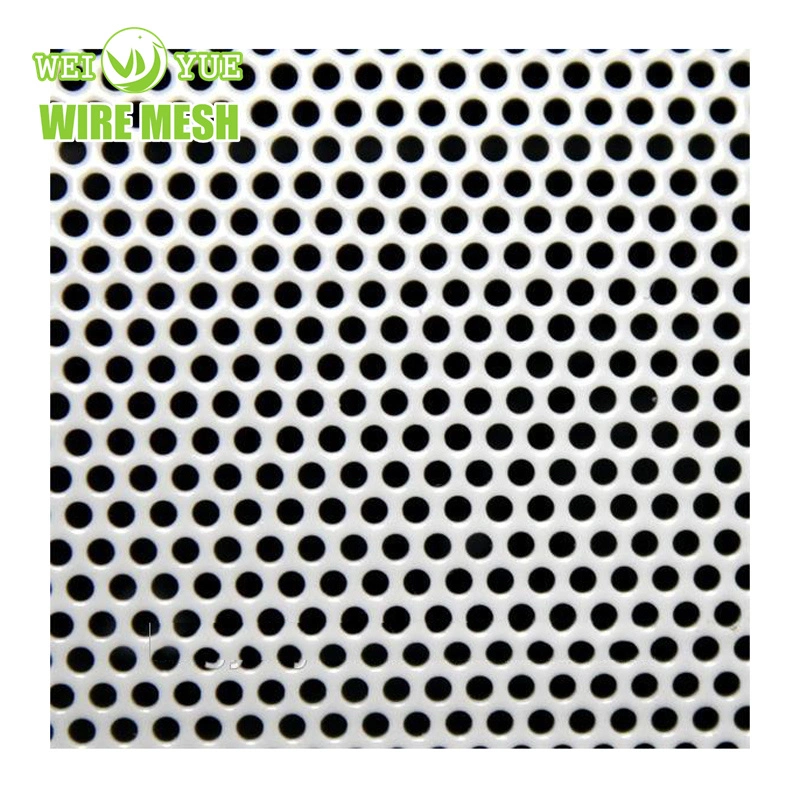 Mild Steel Perforated Metal Mesh/ Micro Hole Punching Mesh Sheet Garden Fence Perforated Metal Building Decoration