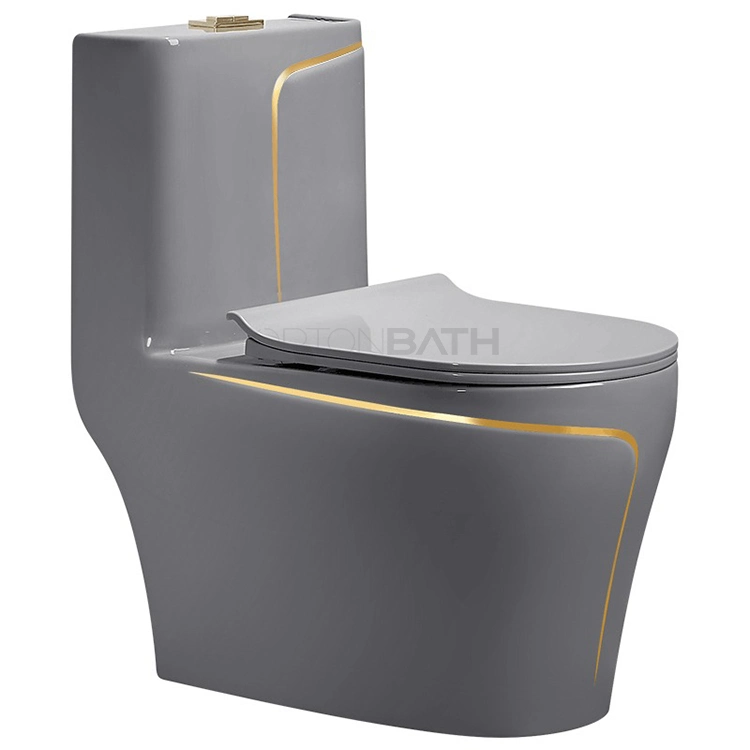 Ortonbath Elongated Floor Mounted Sanitary Ware Dual Flush One Piece Black Bathroom Ceramic Toilet Colorful Black Line Toilet Wc with P S Trap Toilet Seat Cover