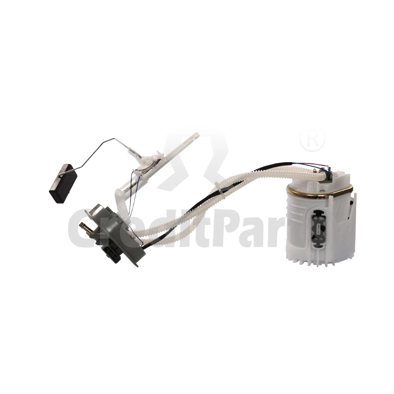 Hot Sale Electric Fuel Pump Assembly for VW/Seat/Ford OEM1h0919051ak