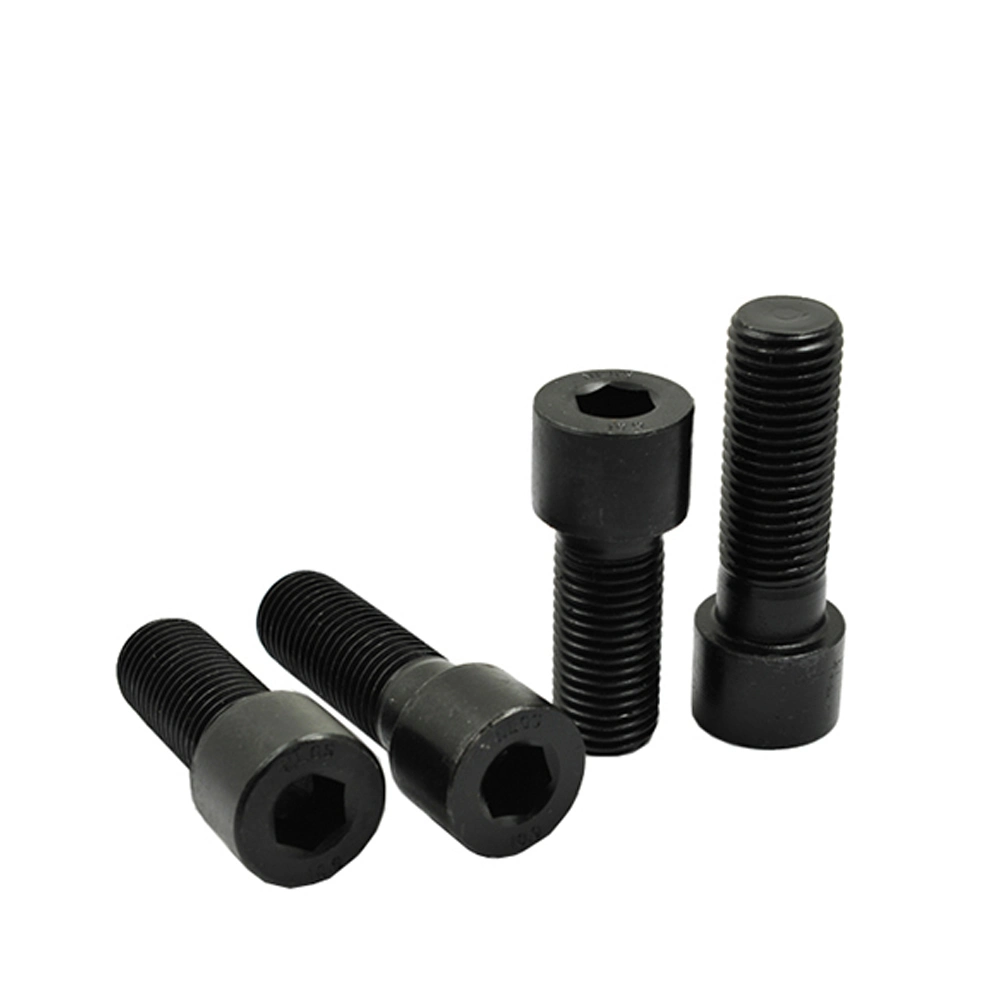 #10 Nylon Patch Black 304 Passivation Round Head Cap Bolt