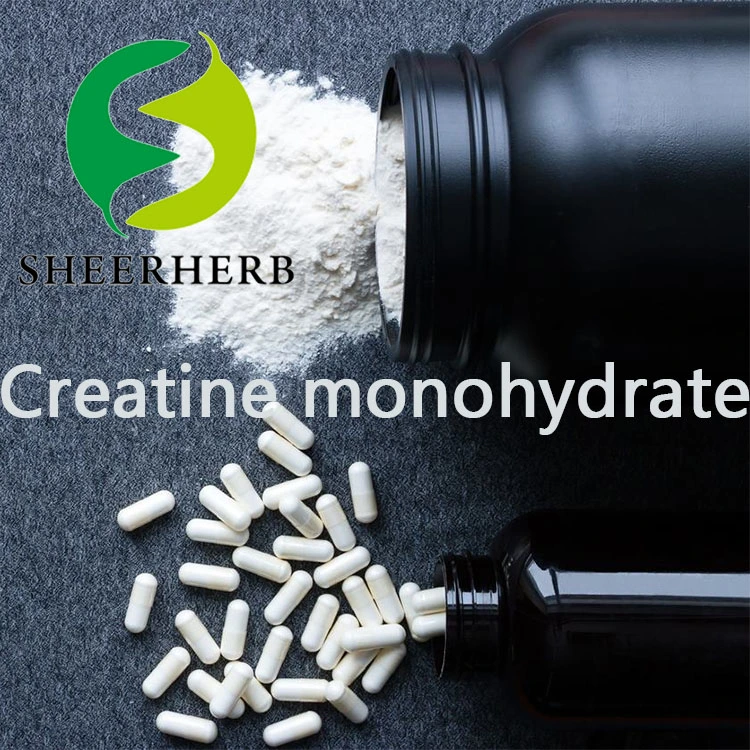 Supply High Purity Creatine HCl 200 Mesh Creatine Monohydrate Powder