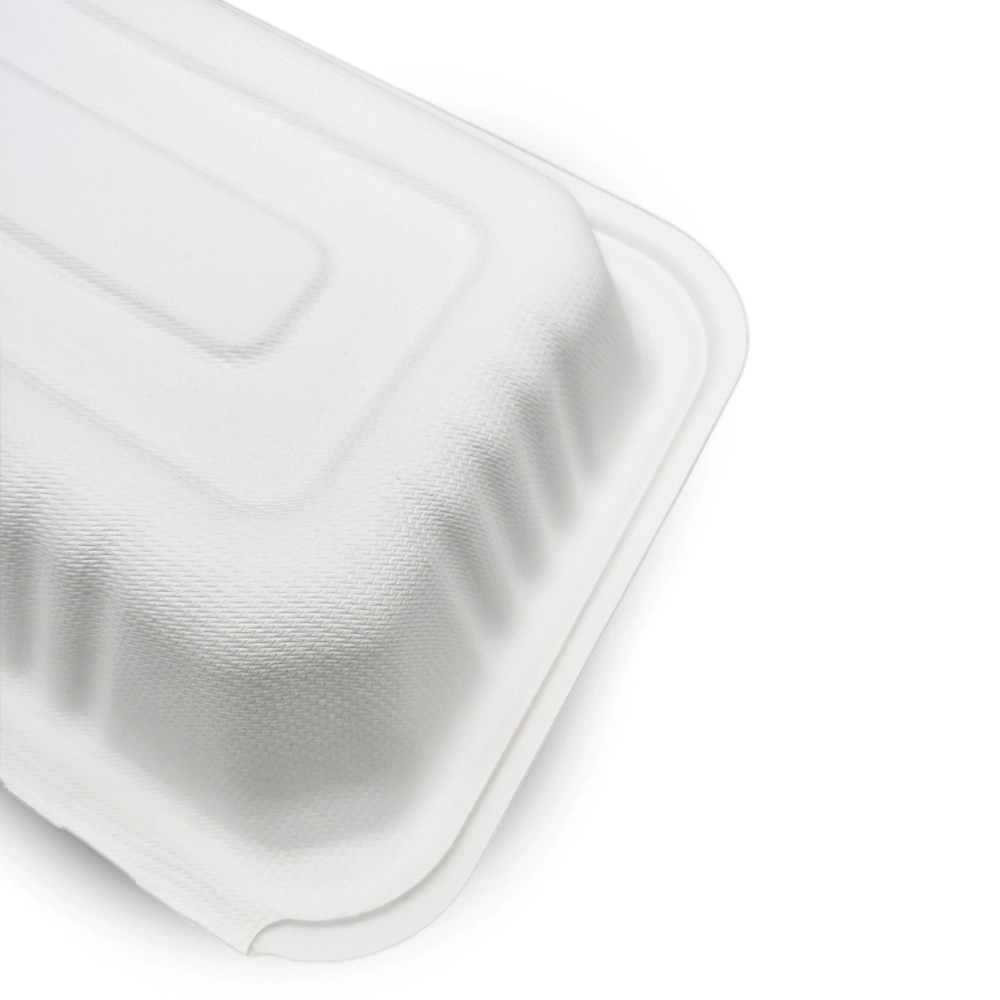 Concha Compostable biodegradables desechables para llevar la caña de azúcar Bento Box Lunch