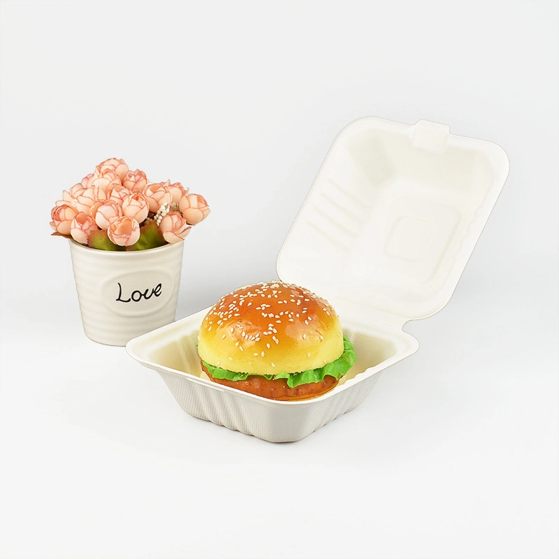 Custom Biodegradable Sugar Cane Bagasse Donut Pastry Cake Packaging Food Container Eco Friendly Sugarcane Burger Box