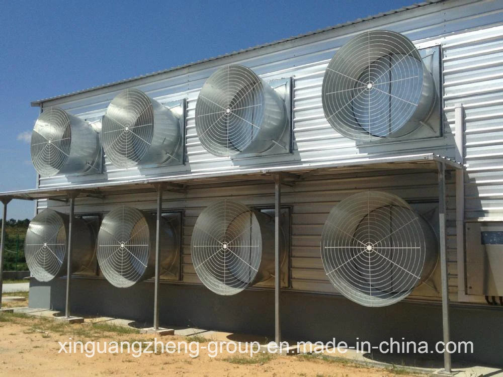 Automatic Poultry Equipment with Ventilation Fan