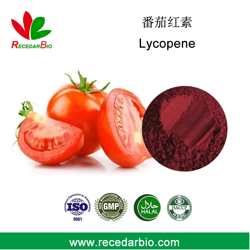 O licopeno natural em pó 10% CAS 502-65-8 Frutos de tomate extraia