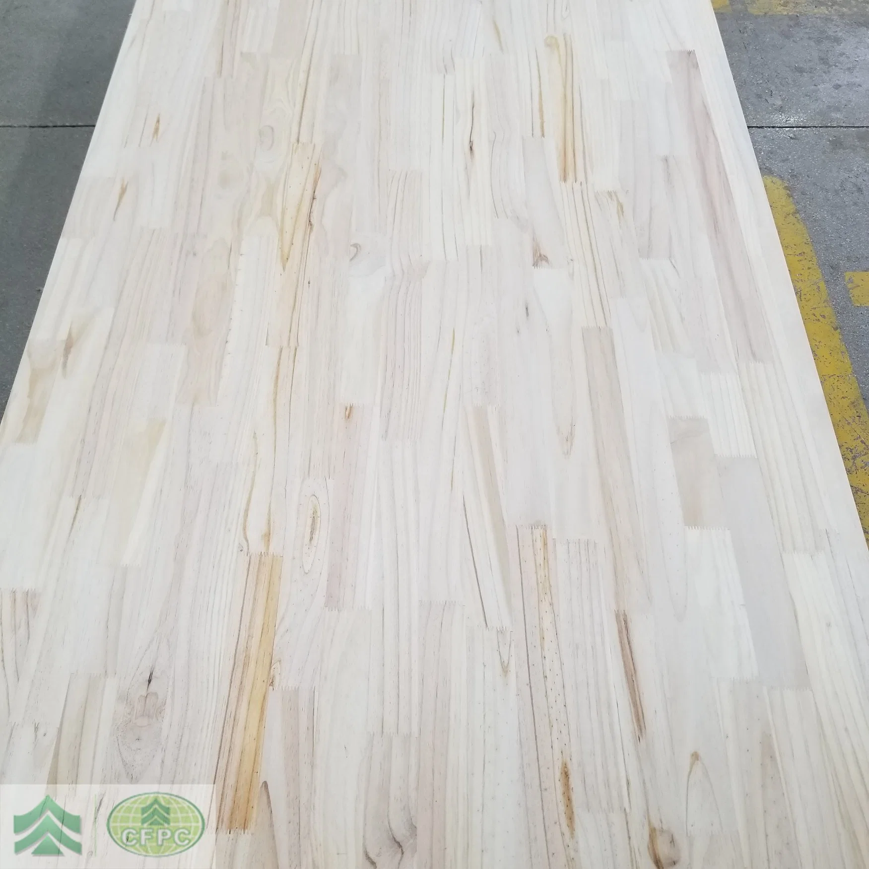 Factory Supply Timber Paulownia Wood Yellow Poplar